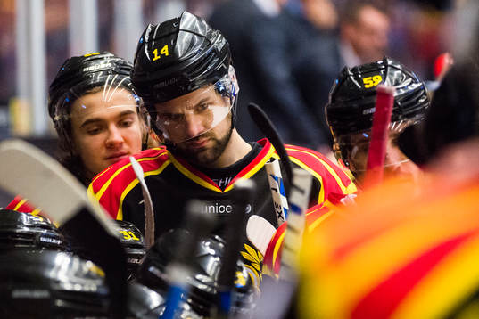 Brynäs Johan Alcén