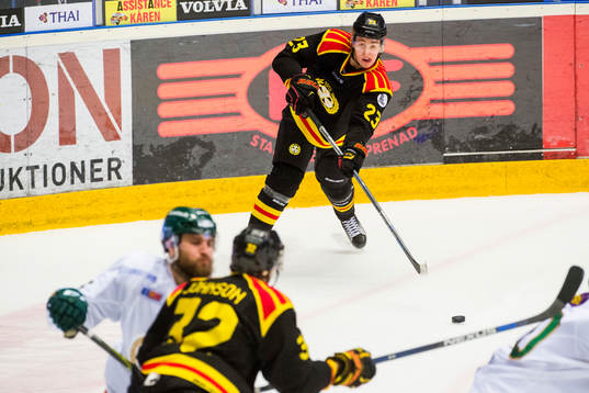 Brynäs Lucas Carlsson