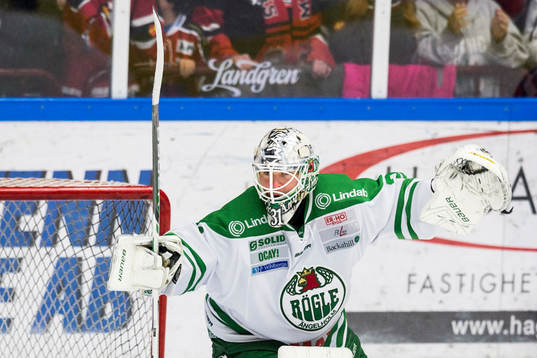 Rögles målvakt Lars Volden jublar