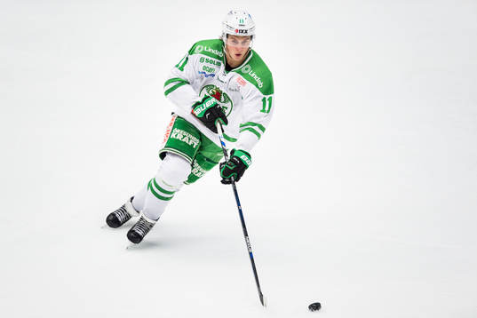 Rögles David Åslin