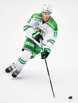 Rögles David Åslin