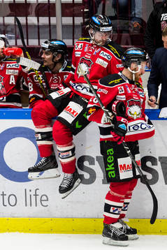 Malmö Redhawks Kent McDonell och Jens Olsson deppar i