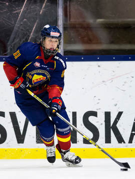 Djurgårdens Ida Press