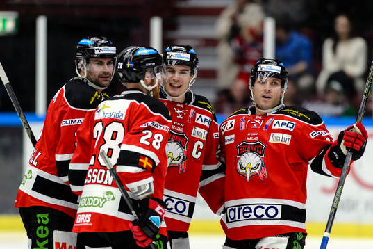 Malmö Redhawks spelare jublar