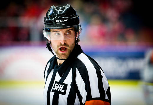 Domare Mikael Sjöqvist