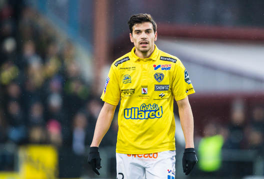 Falkenbergs Zlatan Krizanovic