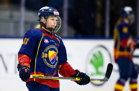 Djurgårdens Ida Press