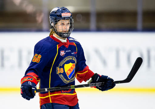Djurgårdens Alexandra Palm