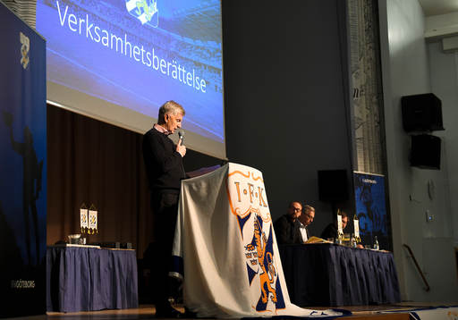 Revisor Bert Hilmersson