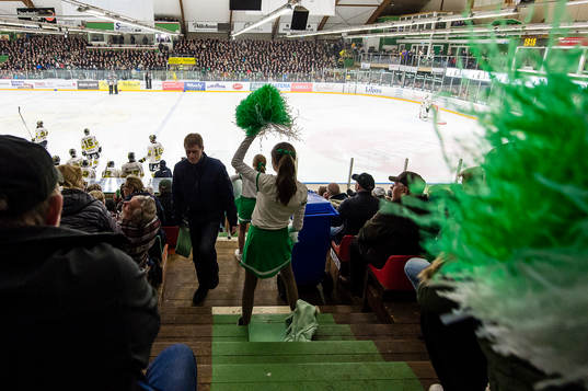 Cheerleaders på läktaren