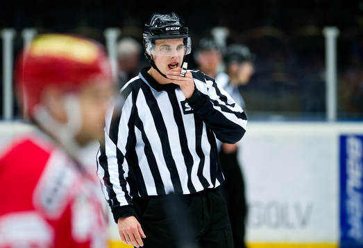Domaren Tobias Nordlander
