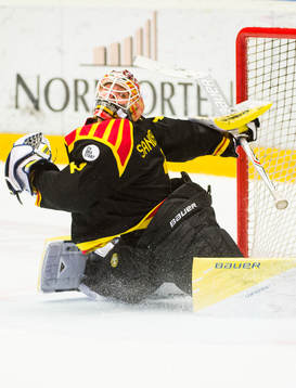 Brynäs målvakt Felix Sandström