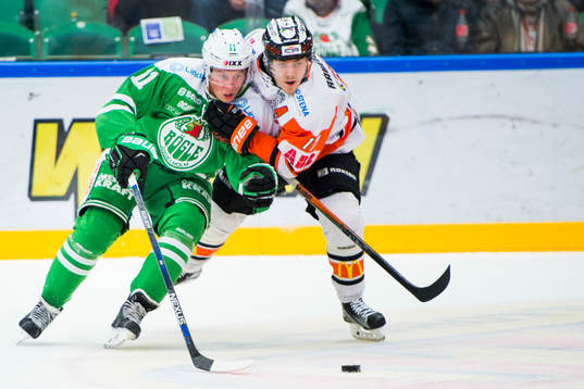 Rögles David Åslin