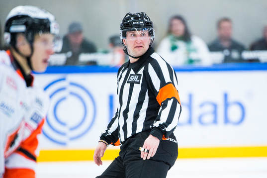 Domare Christoffer Karlsson