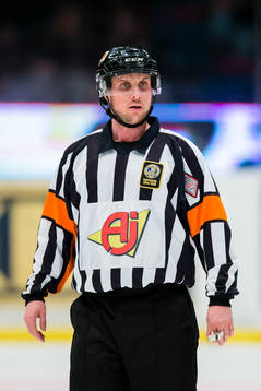 Domare Patric Bjälkander
