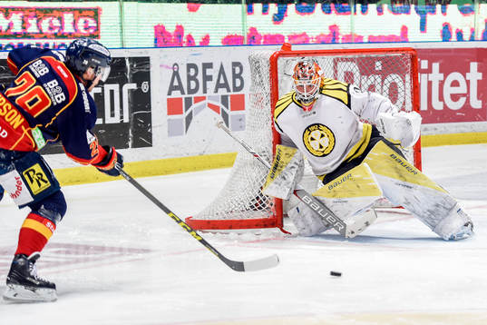 Djurgårdens Matt Anderson och Brynäs målvakt Felix