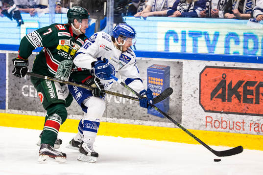 Leksands János Hári