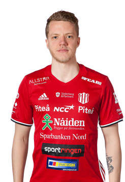 Robert Hammarstedt