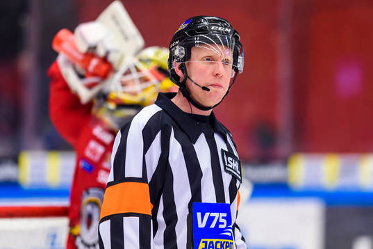 Domare Mikael Holm