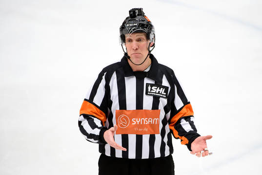 Domare Morgan Johansson