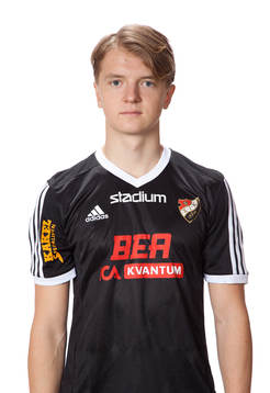 Wilhelm Wiking
