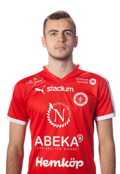 Sebastian Ludzik