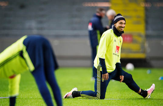 Zlatan Ibrahimovic ler