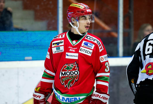 Modos Gustav Possler