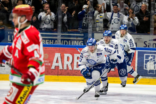 Leksands Brock Montpetit