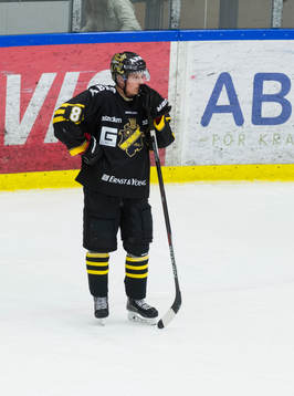 s Sebastian Modén deppar