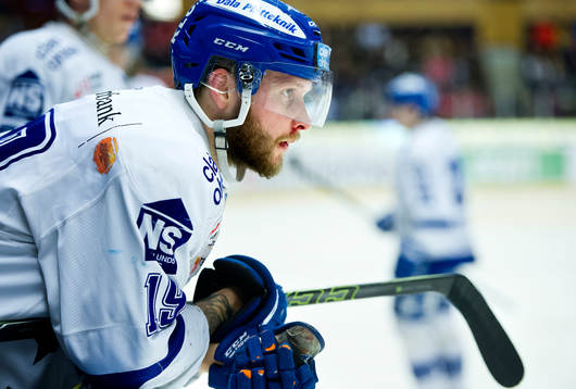 Leksands Alexander Ytterell