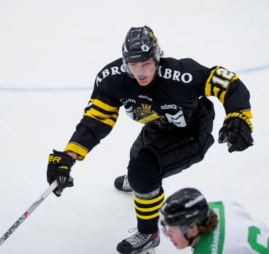 s Max Lindholm