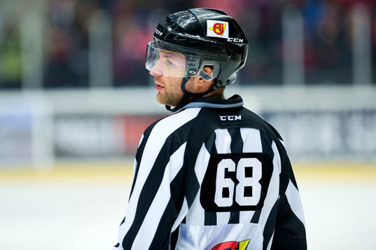 Domaren Emil Yletyinen
