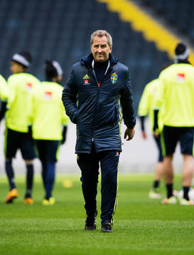 Förbundskapten Erik Hamrén