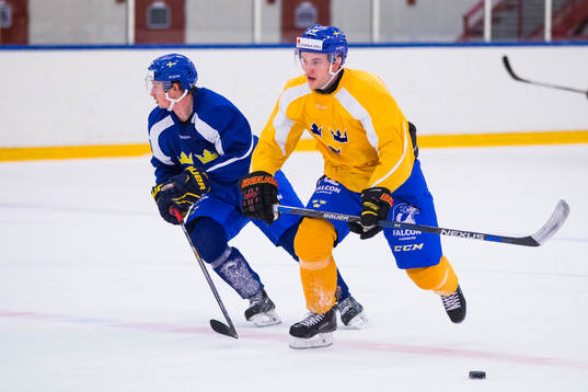 Pathrik Westerholm