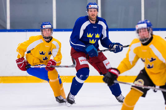 Elias Pettersson och Staffan Kronwall