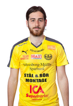 Sandro Nalic