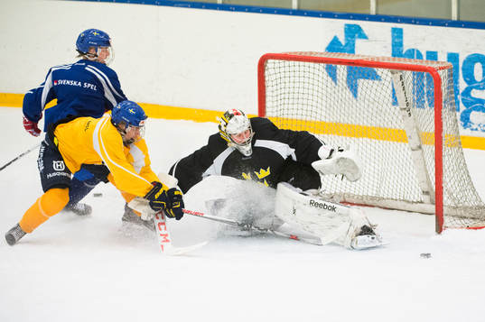 Bläddra bland fler bilder av Ishockey, Sverige, Träning, VM-läger