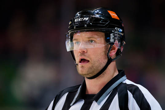 Linjedomare Ludvig Lundgren