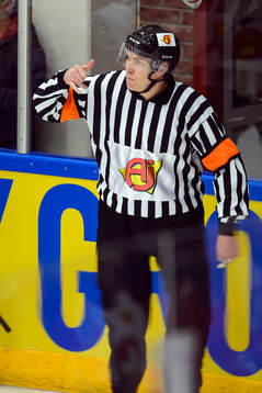 Domare Morgan Johansson