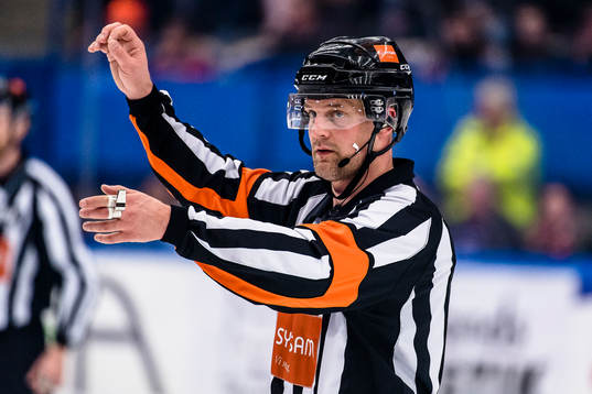 Domare Mikael Nord