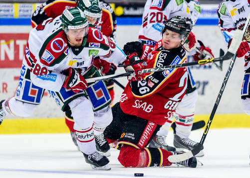 Bläddra bland fler bilder av Ishockey, SHL, Semifinal 4, Luleå - Frölunda