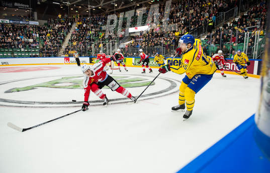 Sveriges Mattias Sjögren och Schweizs Fabrice Herzog