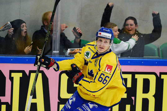 Sveriges Marcus Sörensen jublar