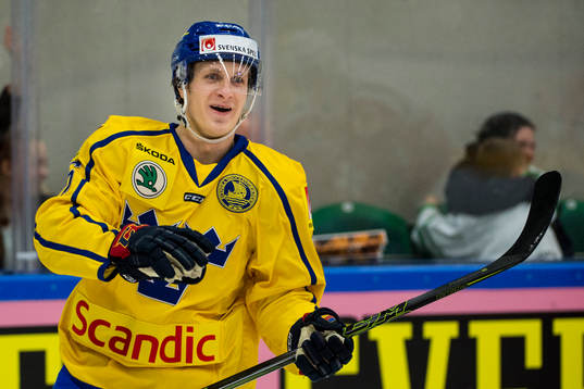 Sveriges Marcus Sörensen jublar