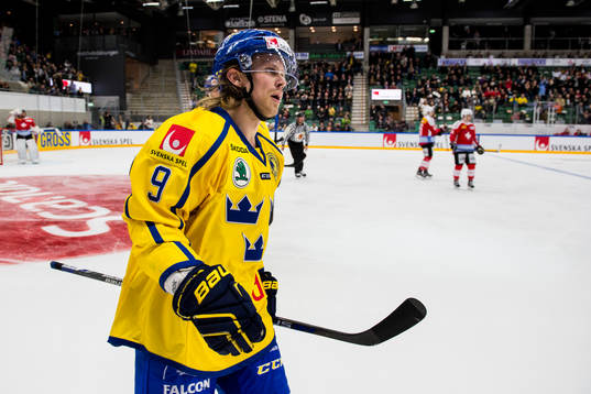 Sveriges Mattias Tedenby jublar