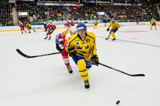 Sveriges Mattias Tedenby