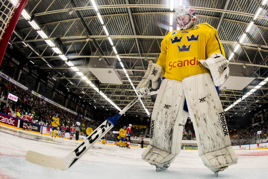 Sveriges målvakt Jonas Gunnarsson