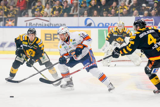 Skellefteås Tim Heed och Arvid Lundberg