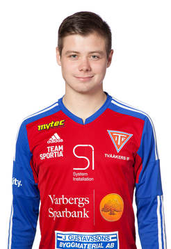 Erik Ferman